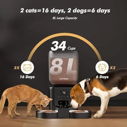 Comedouro Automático Com Timer Digital 6 Refeições para Cães e Gatos